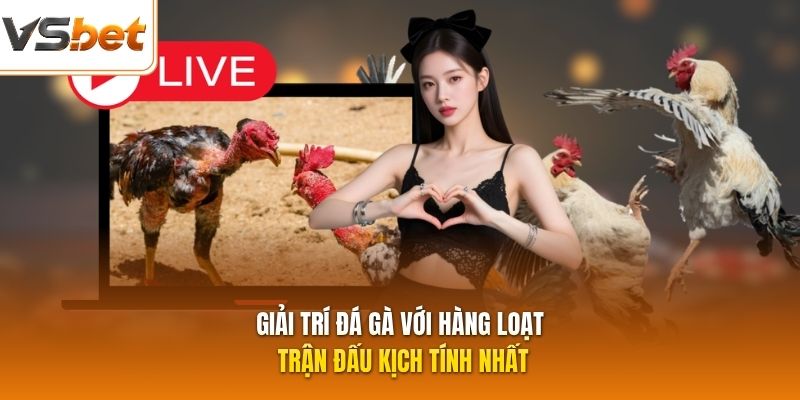 Giải trí đá gà với hàng loạt trận đấu kịch tính nhất
