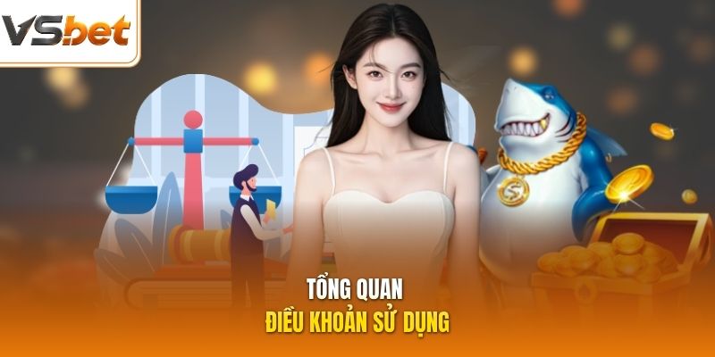 Tổng quan điều khoản sử dụng